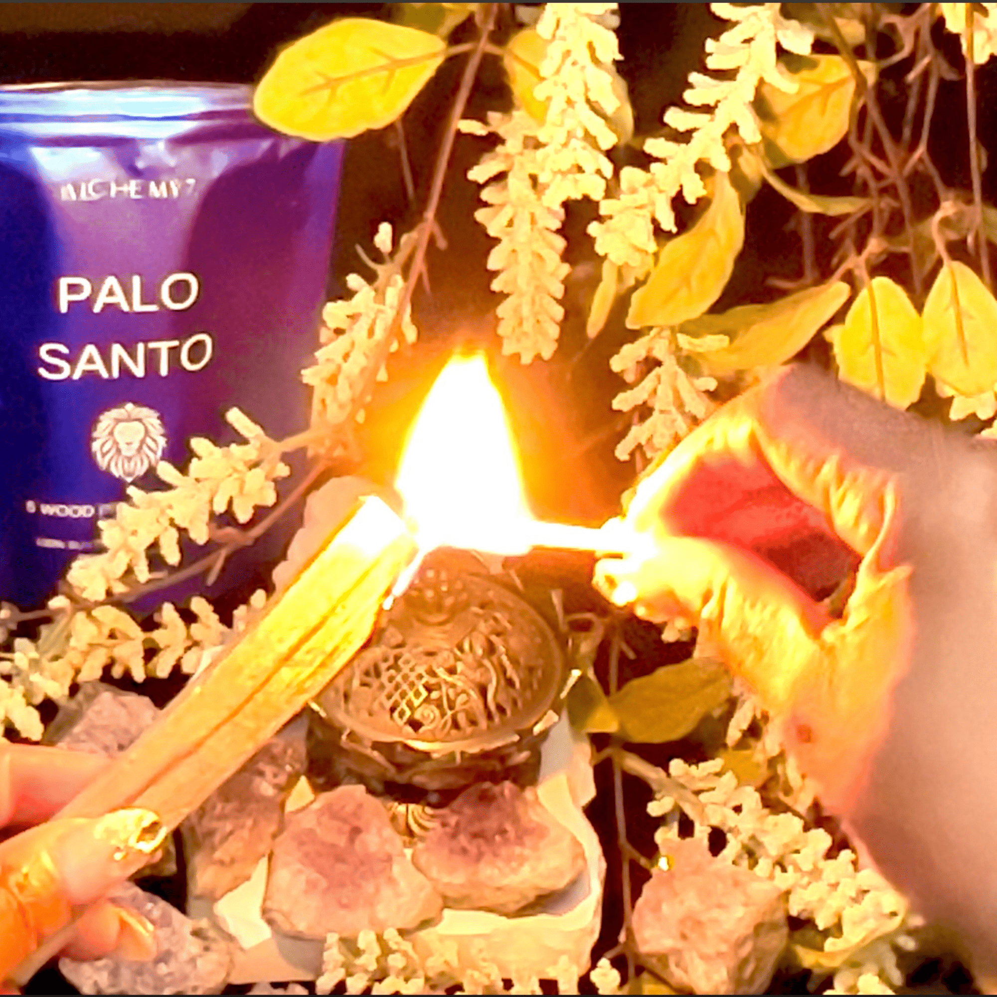 Palo Santo Sticks - The Haus Of Alchemy