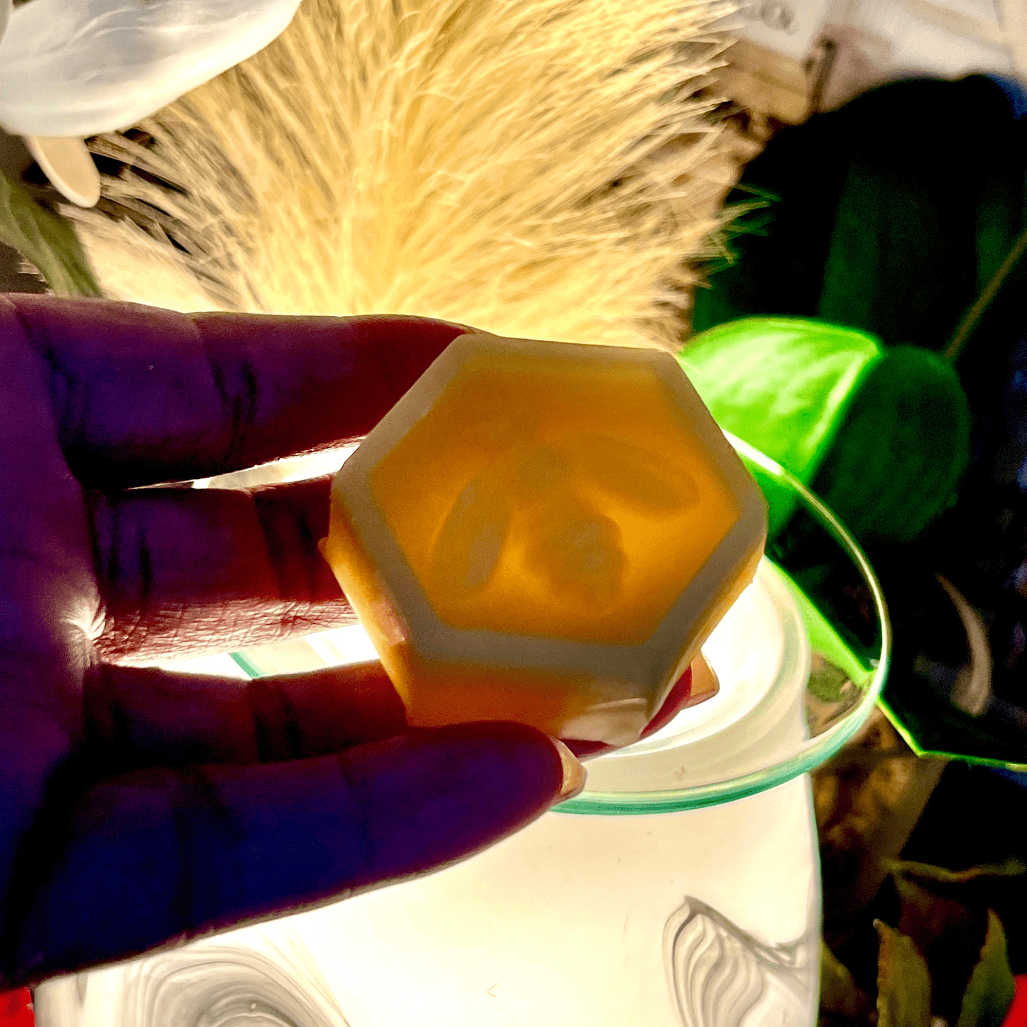Apian Maféra Wax Melts - The Haus Of Alchemy