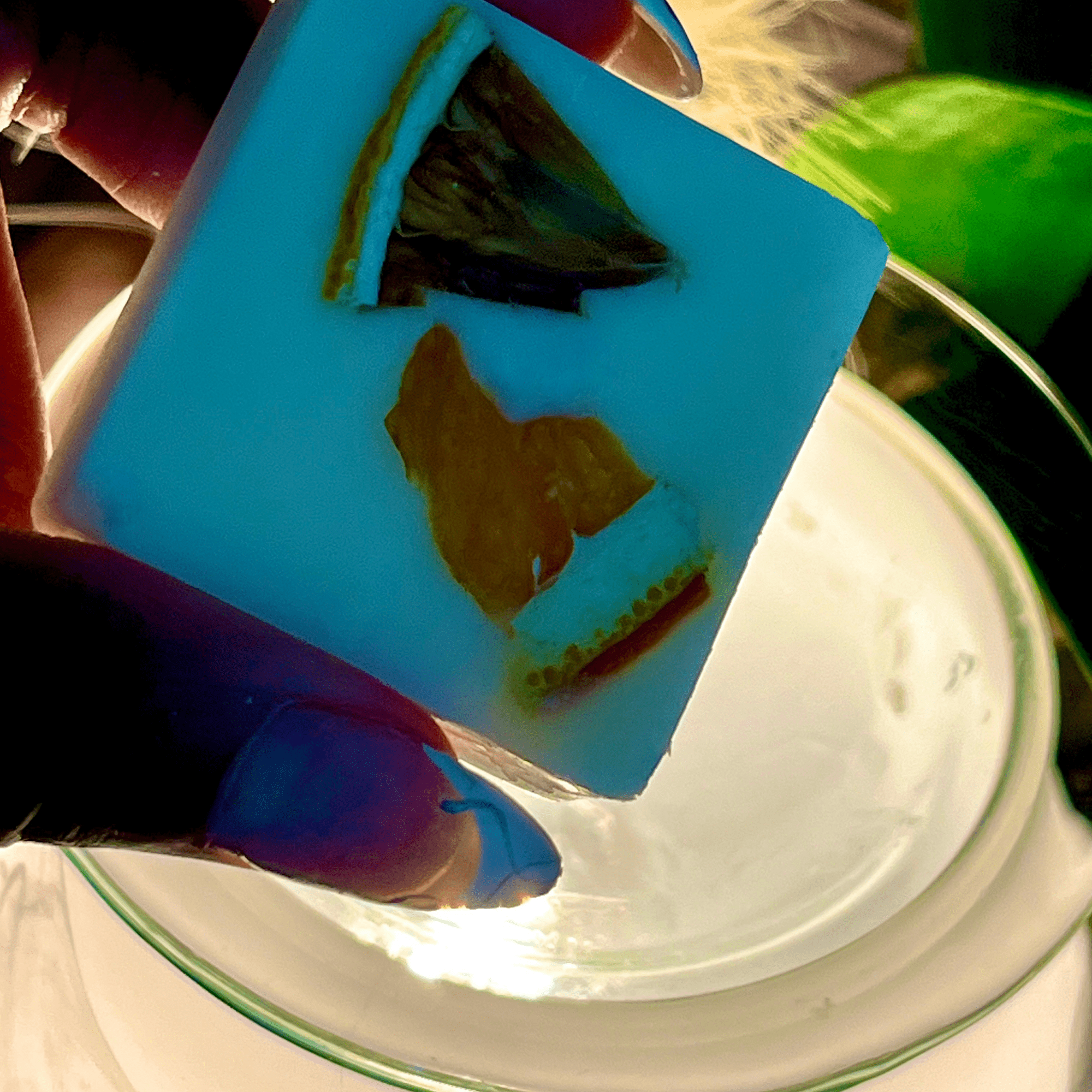Ominous Joy Smudge Wax Melts - The Haus Of Alchemy