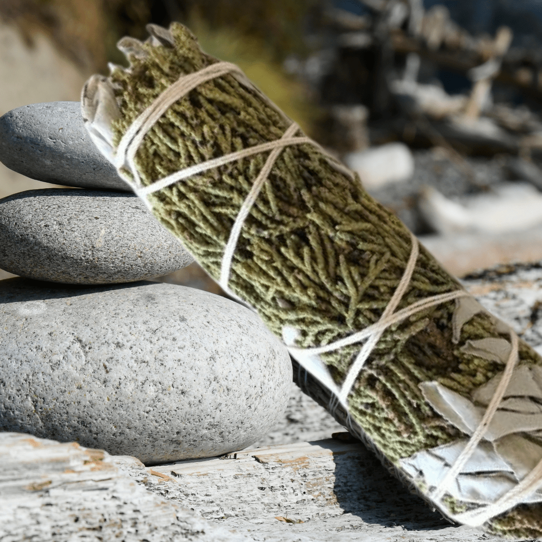 White Sage + Cedar Sage Sticks - The Haus Of Alchemy