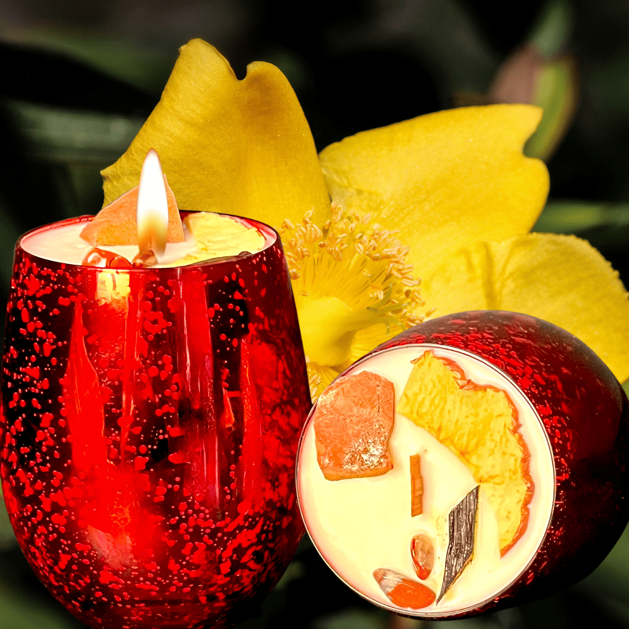 Forbidden Apple Intention Candle | Manifest Love, Power & Peace - The Haus Of Alchemy