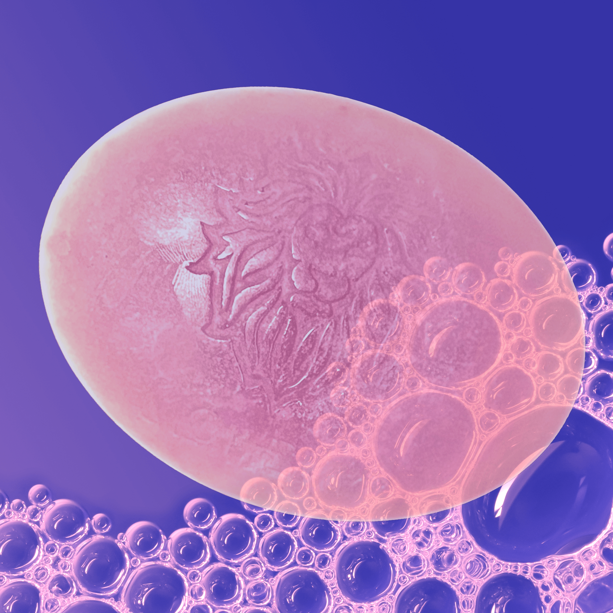 Gratitude Reflection Soap Package - The Haus Of Alchemy