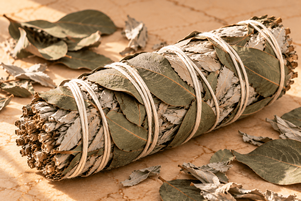 White Sage + Eucalyptus Sage Stick