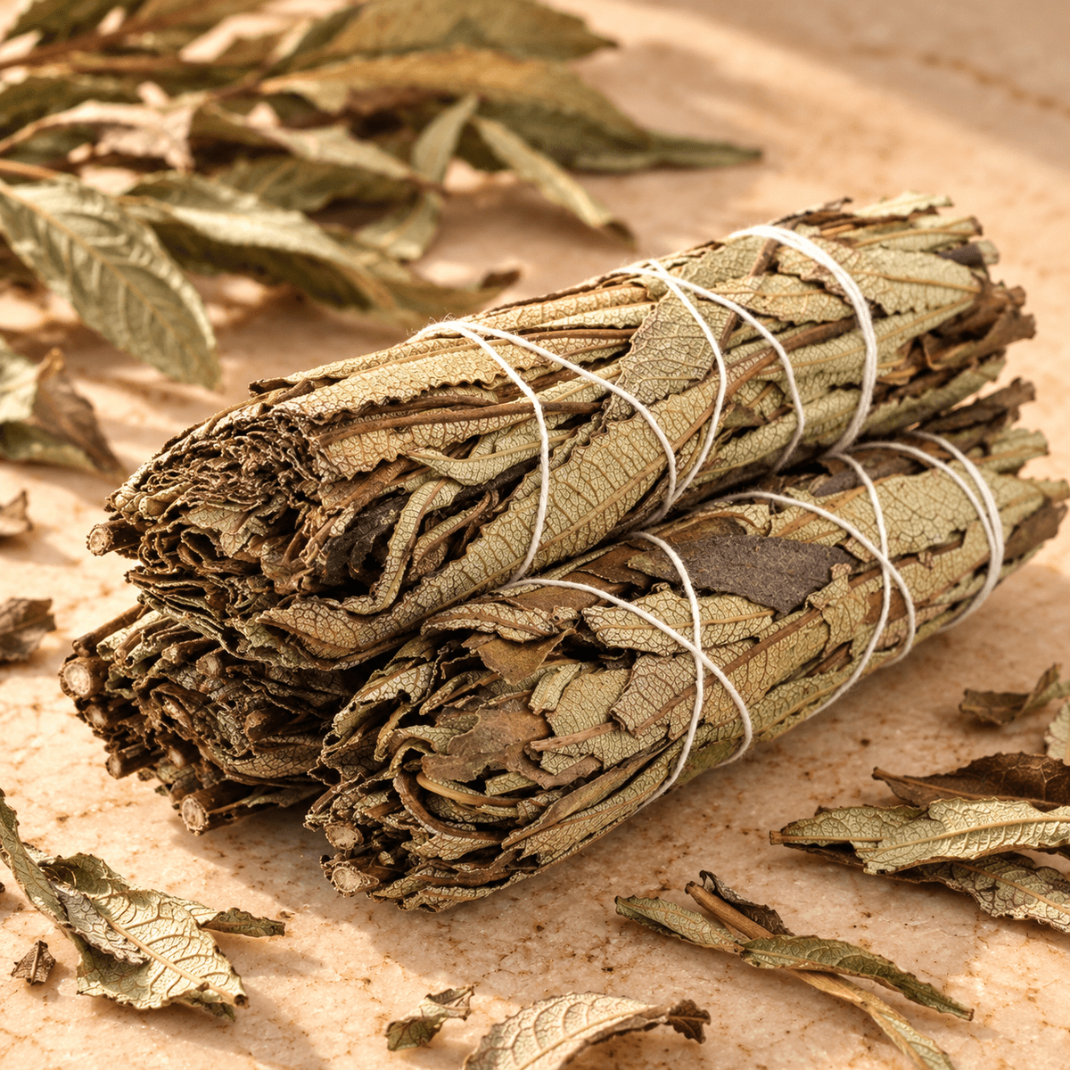 Yerba Santa Sage Stick - Haus Of Alchemy