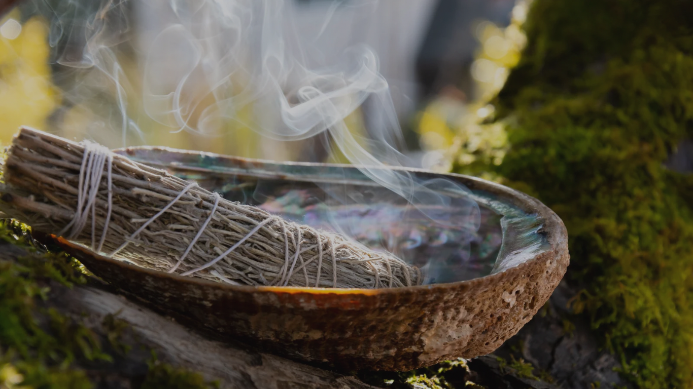 The Top 5 Sage Sticks for Beginners