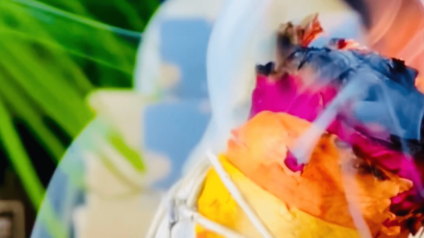 Sage Sticks - The Haus Of Alchemy