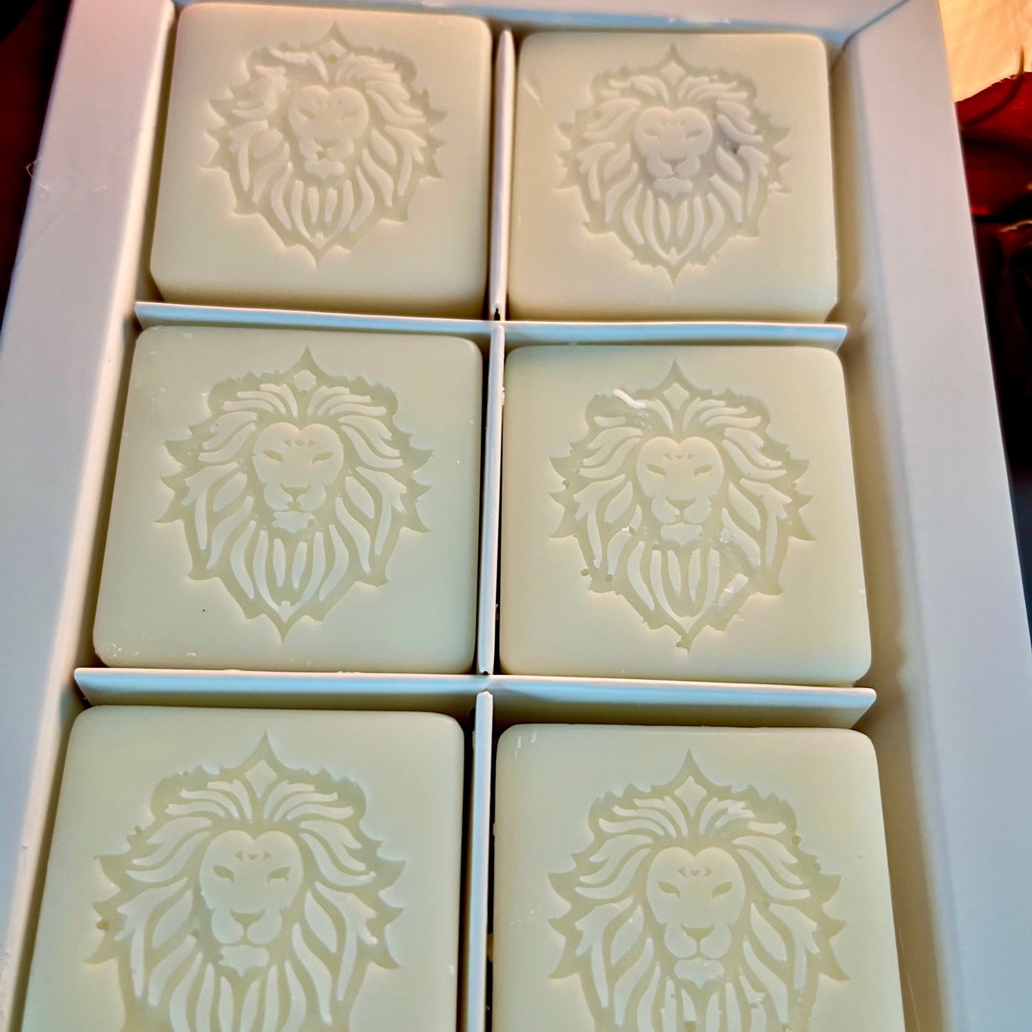 Enigma Signature Wax Melts