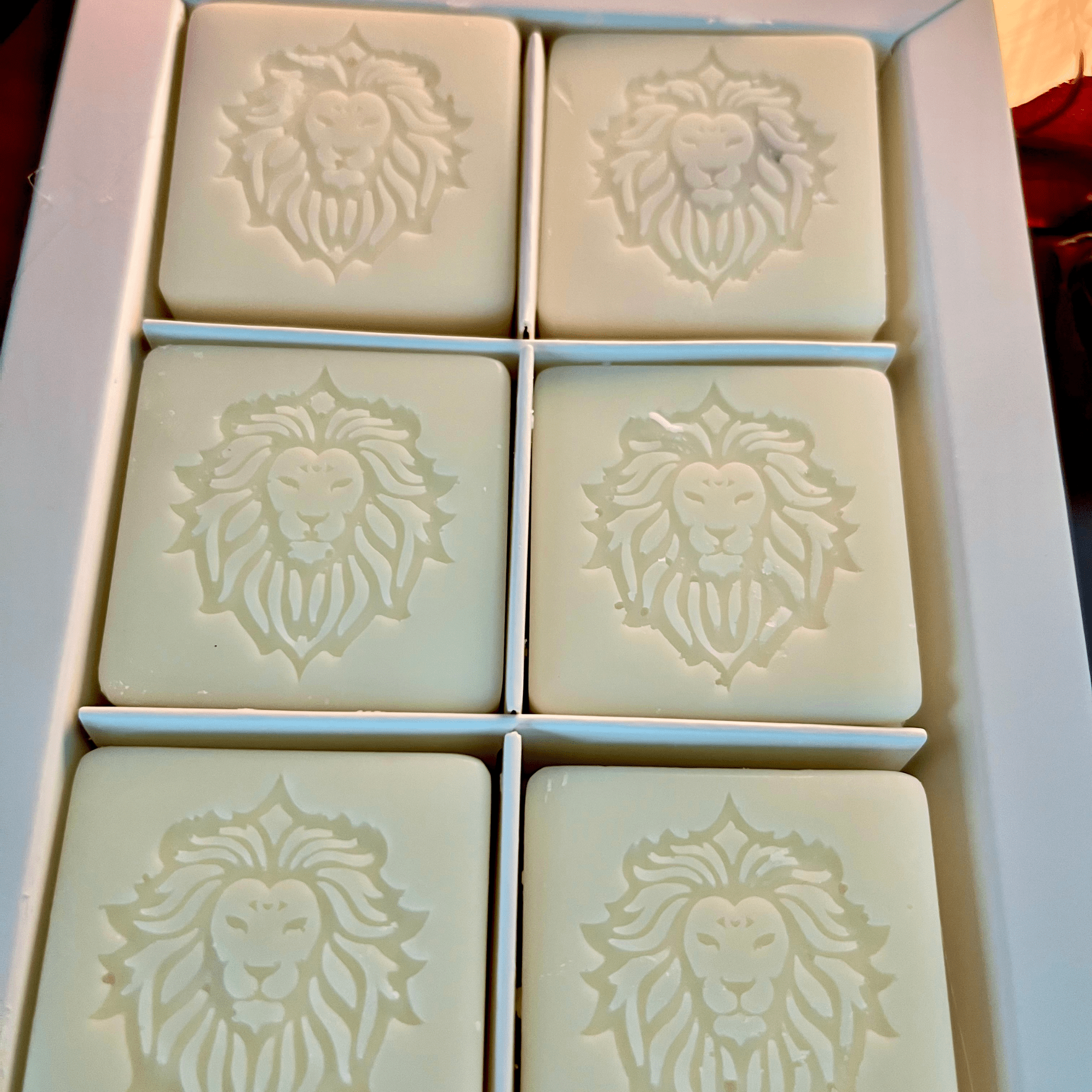 Enigma Signature Wax Melts - The Haus Of Alchemy