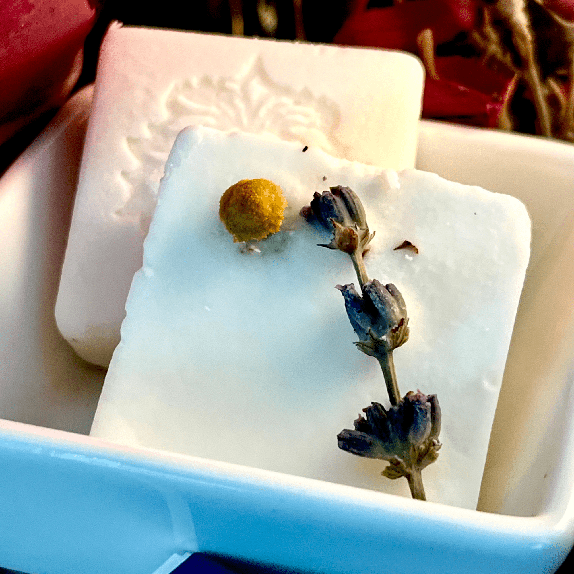 Sándman Intention Wax Melts - The Haus Of Alchemy