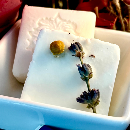 Sándman Intention Wax Melts