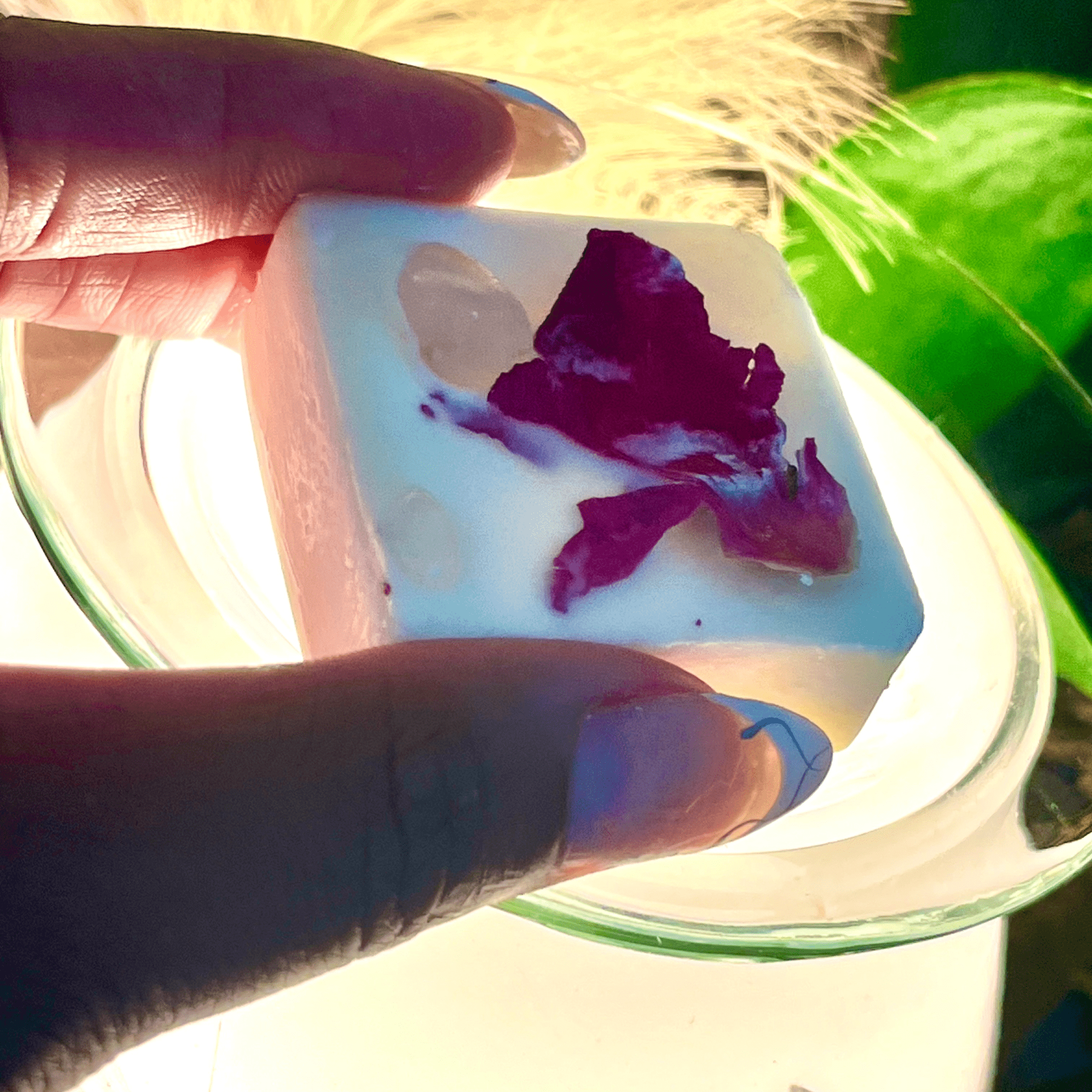 Selfish Intention Wax Melts - The Haus Of Alchemy
