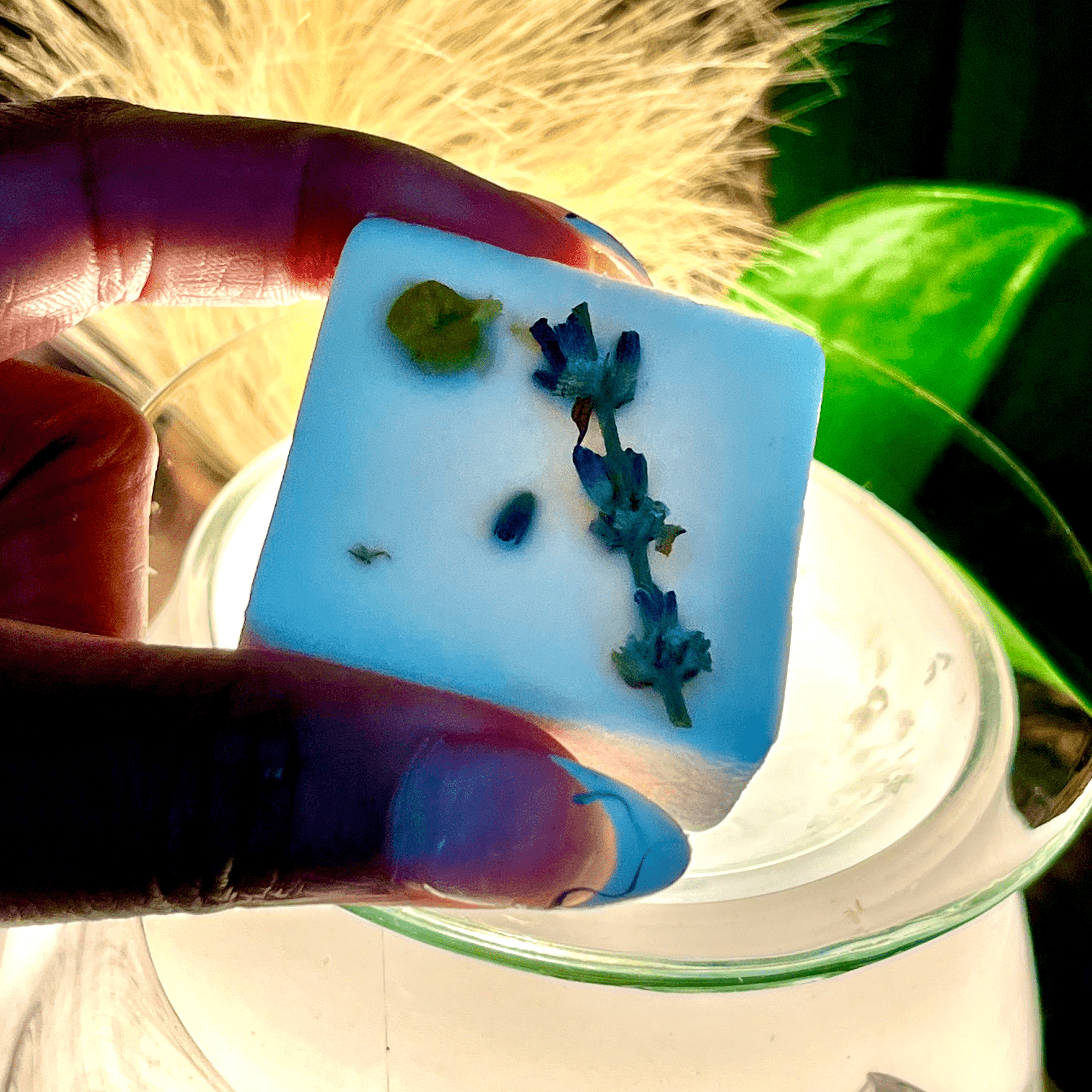 Sándman Intention Wax Melts - The Haus Of Alchemy