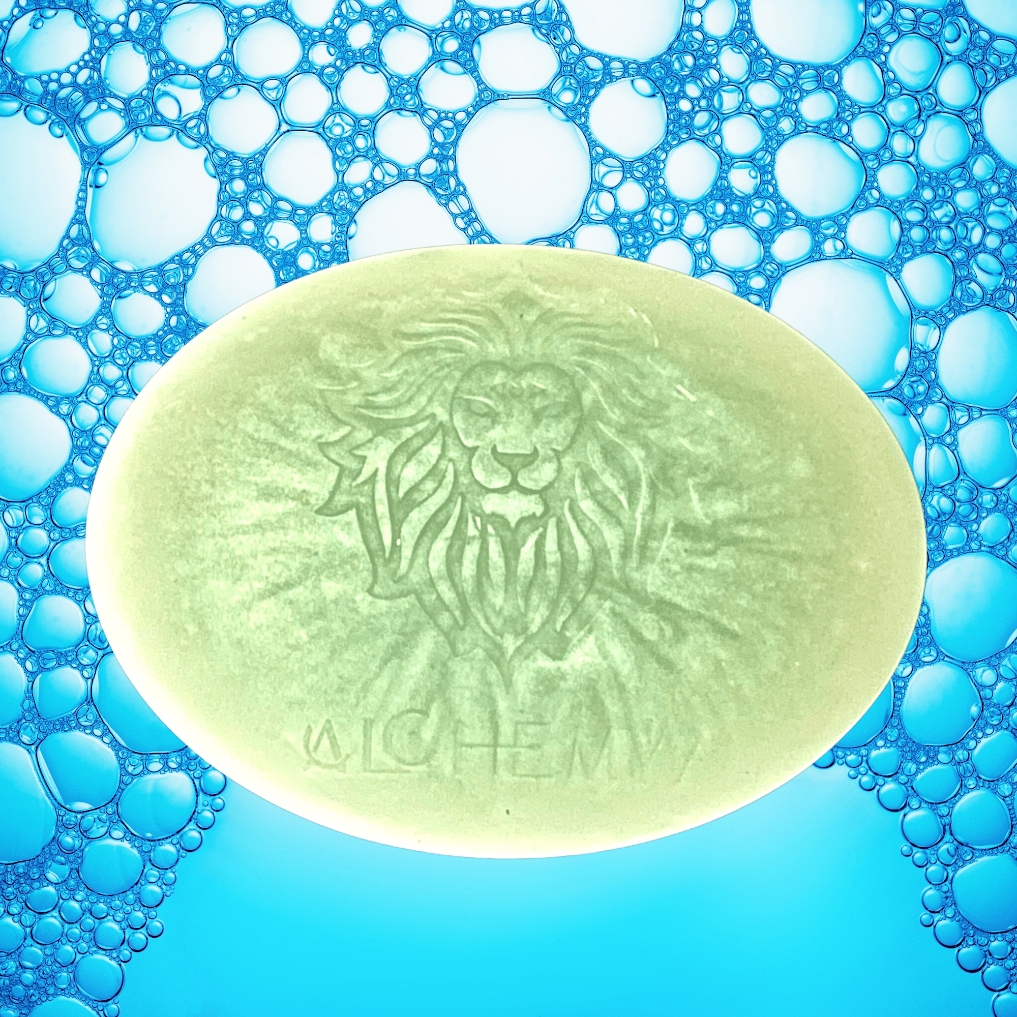 Body Bar Essentials Set - The Haus Of Alchemy