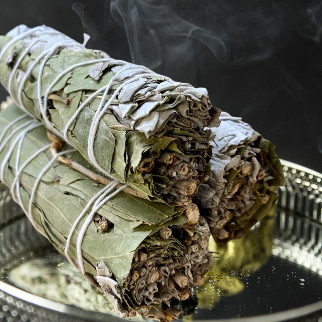 White Sage + Eucalyptus Sage Stick | Emotional Healing, Balance &amp; Spiritual Clarity