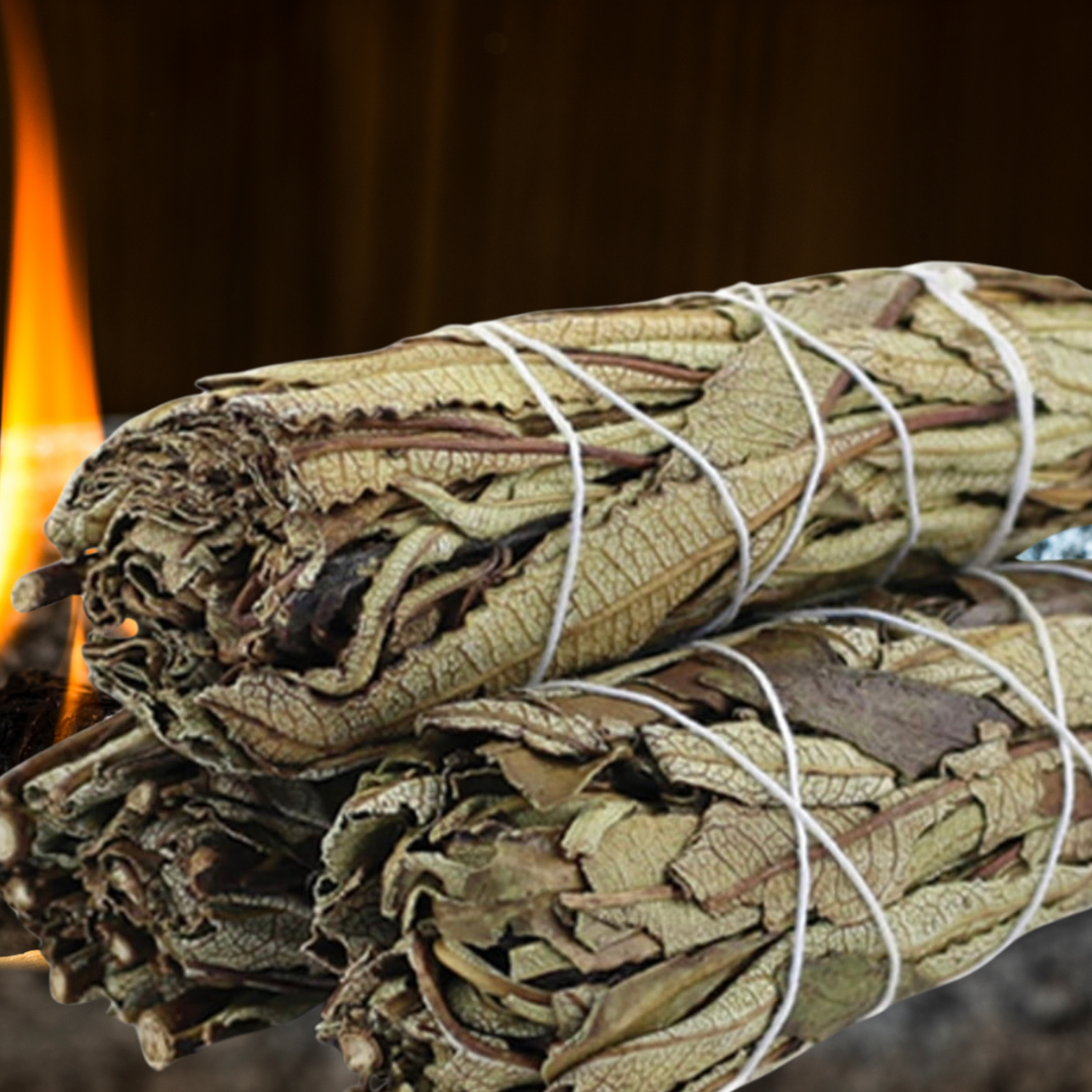 Yerba Santa Sage Sticks | Healing, Protection &amp; Emotional Renewal