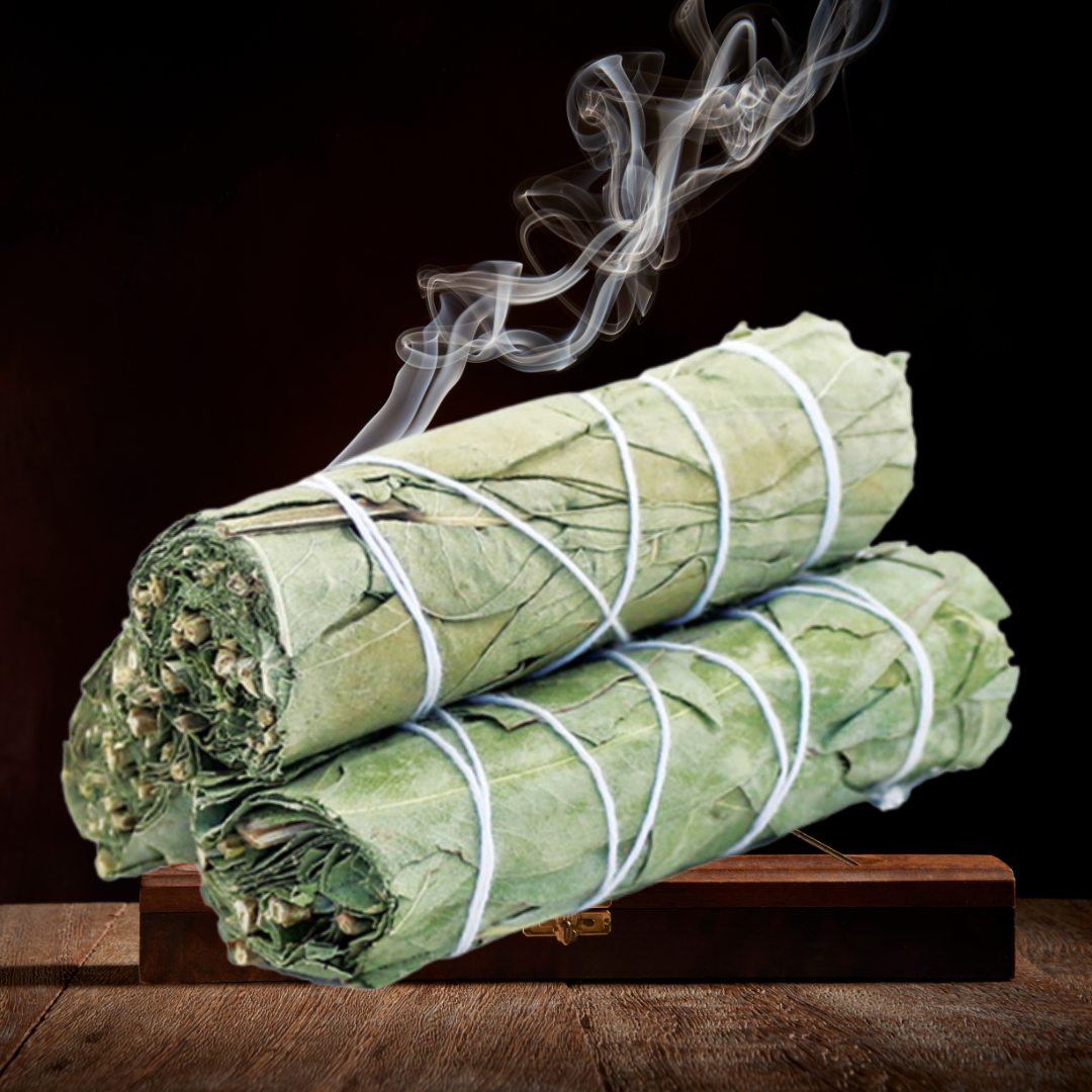 Eucalyptus Sage Stick | Cleansing, Healing &amp; Mental Clarity