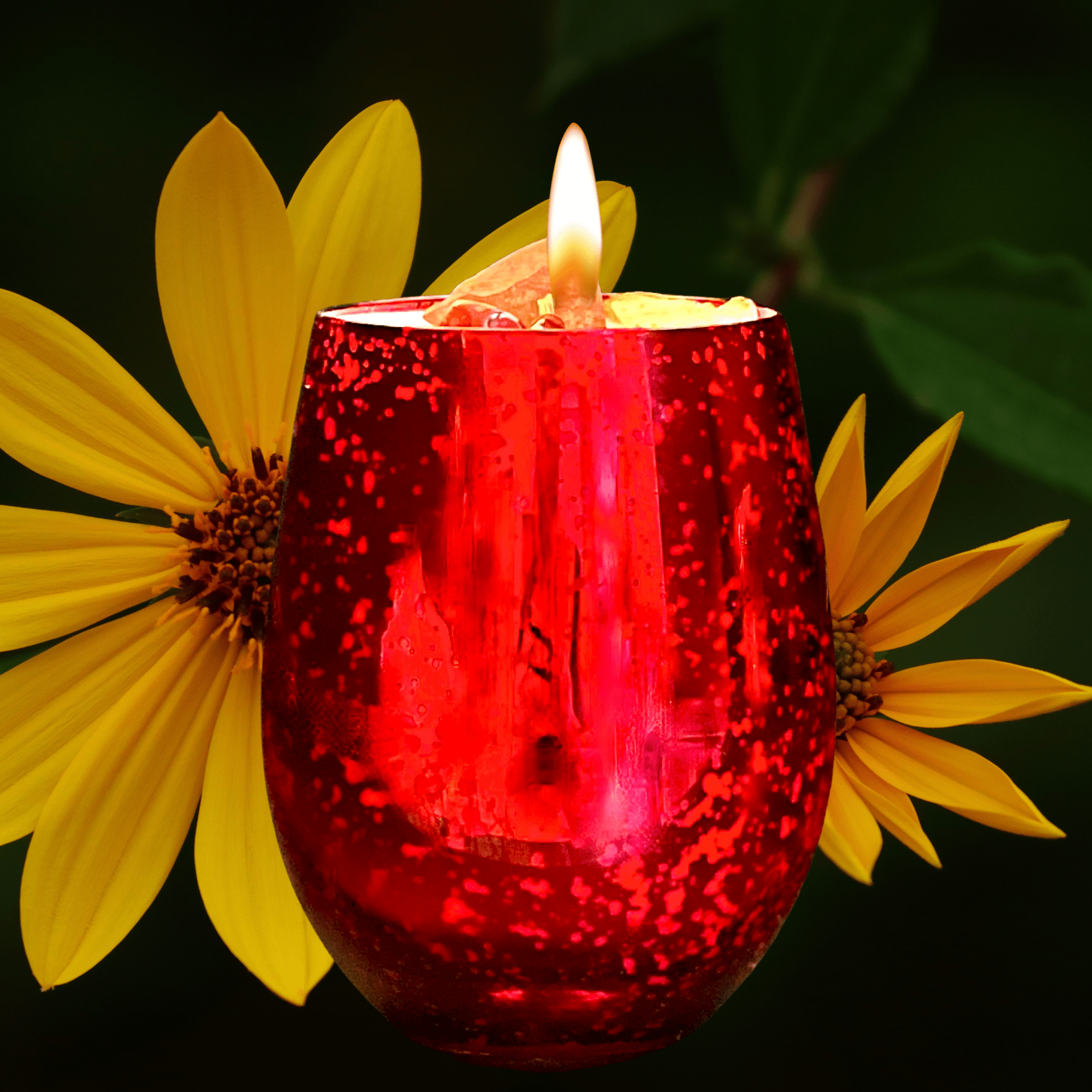 Forbidden Apple Intention Candle | Manifest Love, Power &amp; Peace - The Haus Of Alchemy