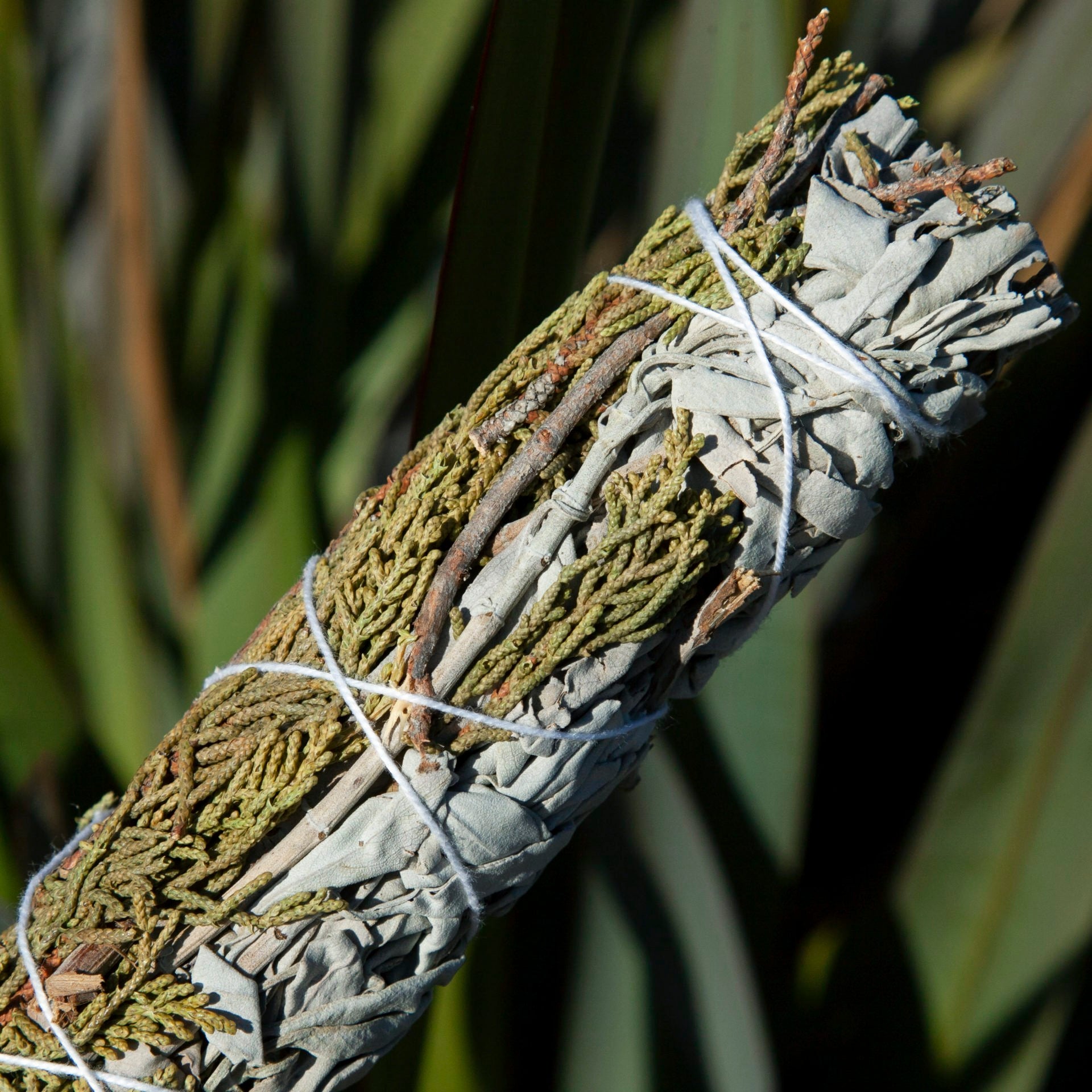 White Sage and Juniper Sage Sticks