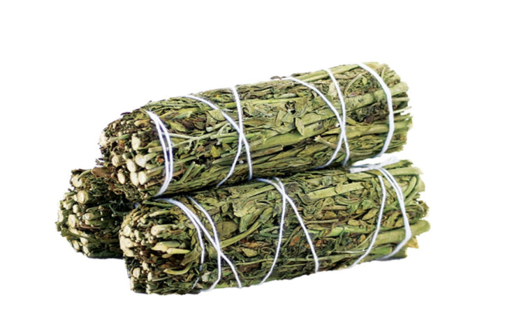 Ruda Rue Sage Stick | Protection, Hex-Breaking &amp; Cord-Cutting