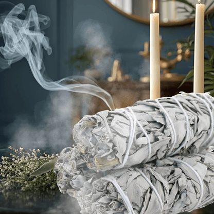 White Sage Stick - The Haus Of Alchemy