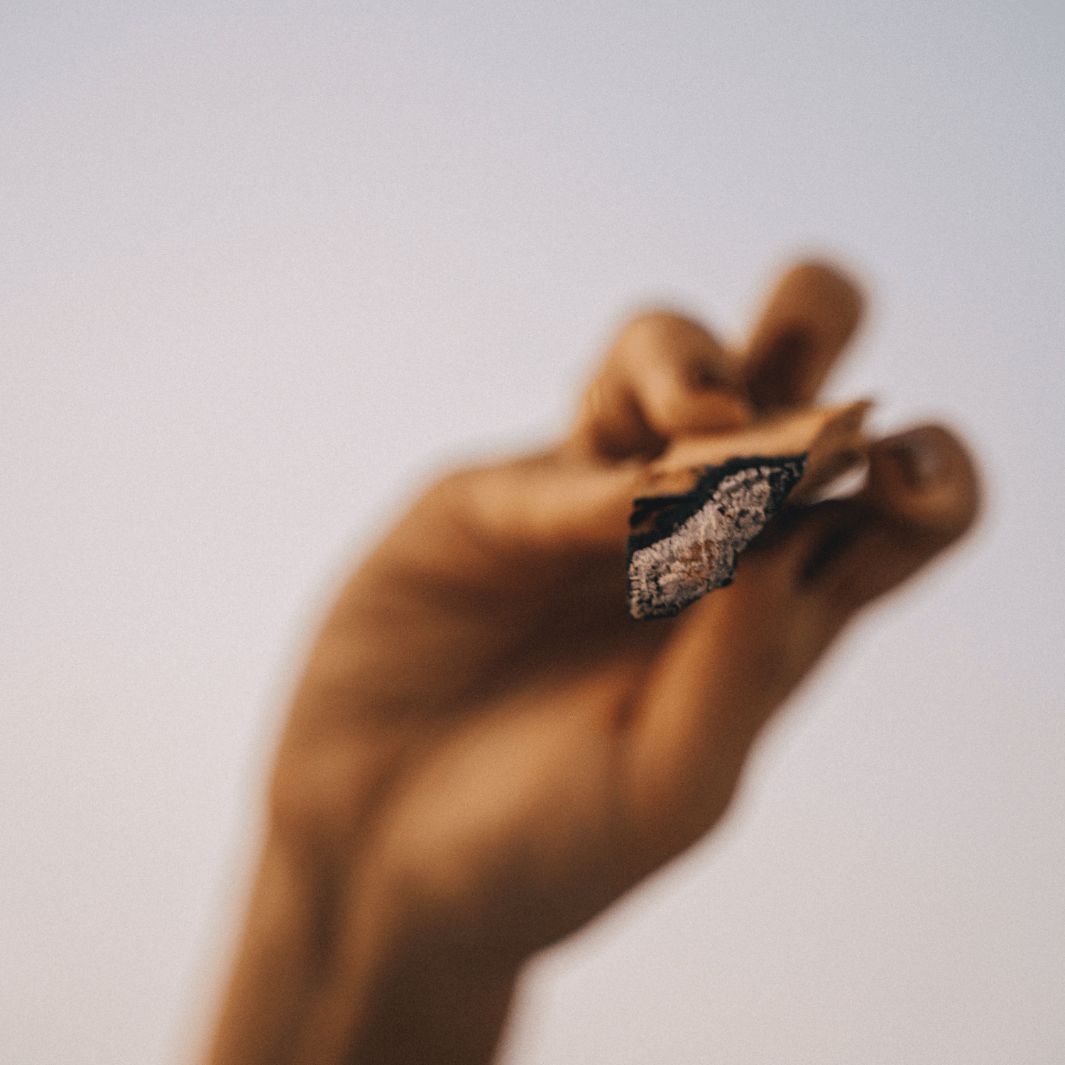 Palo Santo Sticks - Haus Of Alchemy