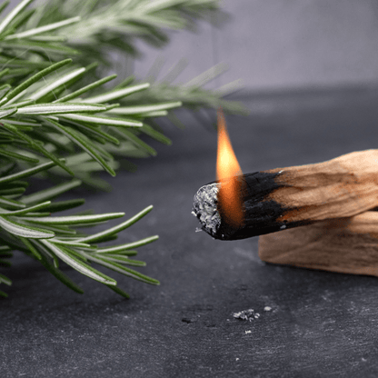 Palo Santo Sticks - Haus Of Alchemy