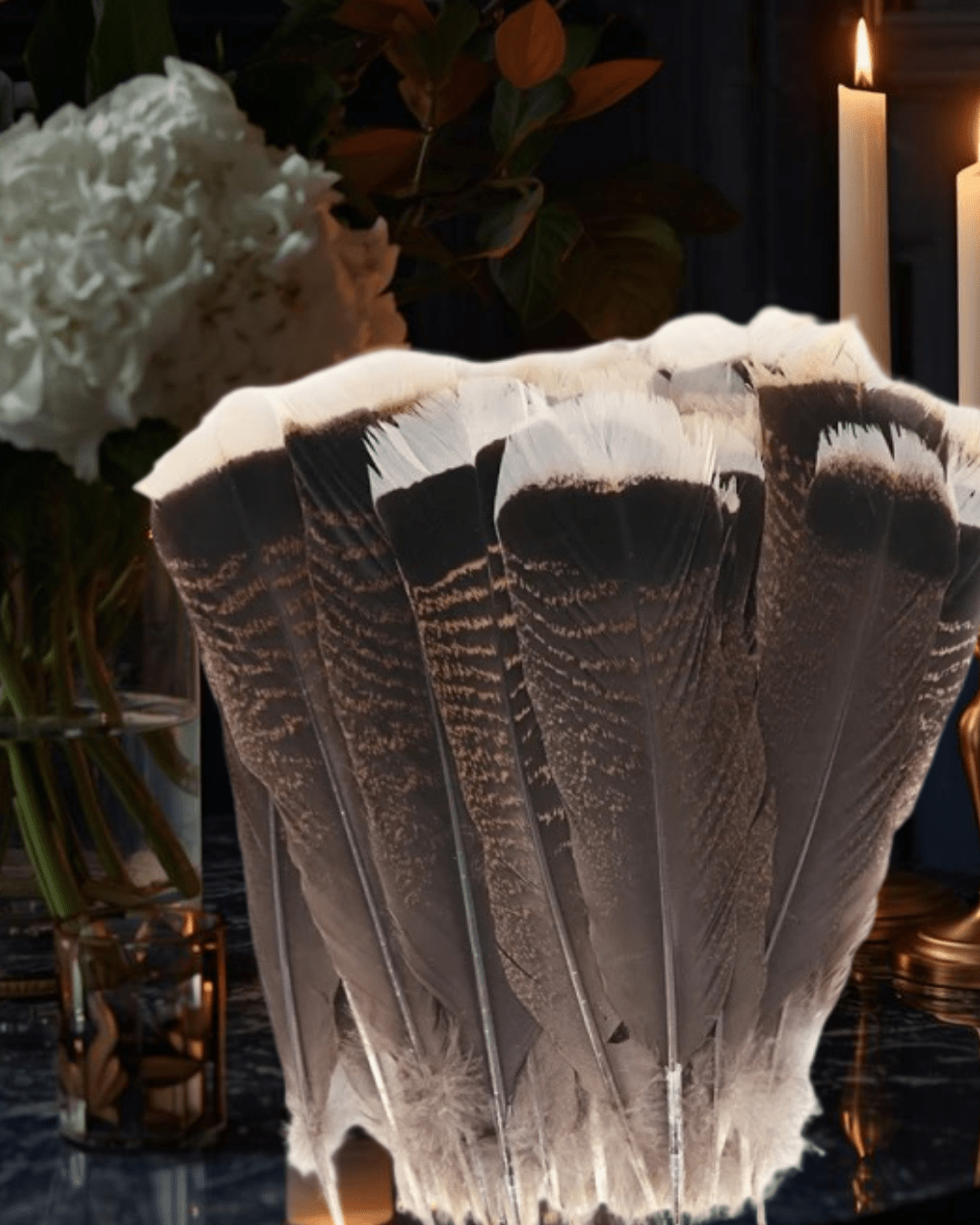 Natural Turkey Feathers - Haus Of Alchemy