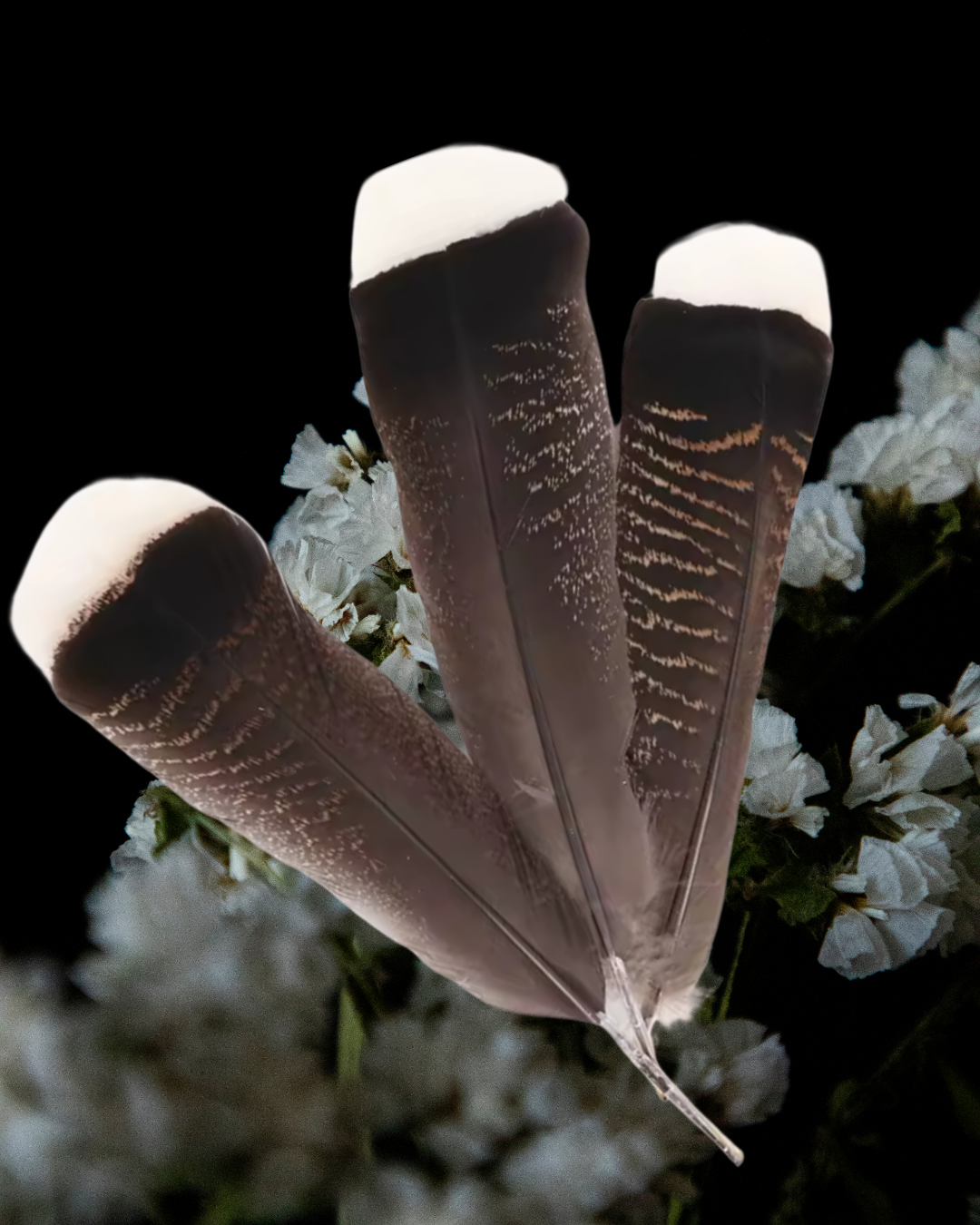 Natural Turkey Feathers for Ritual &amp; Smoke Cleansing | 10–12&quot; Spiritual Tools