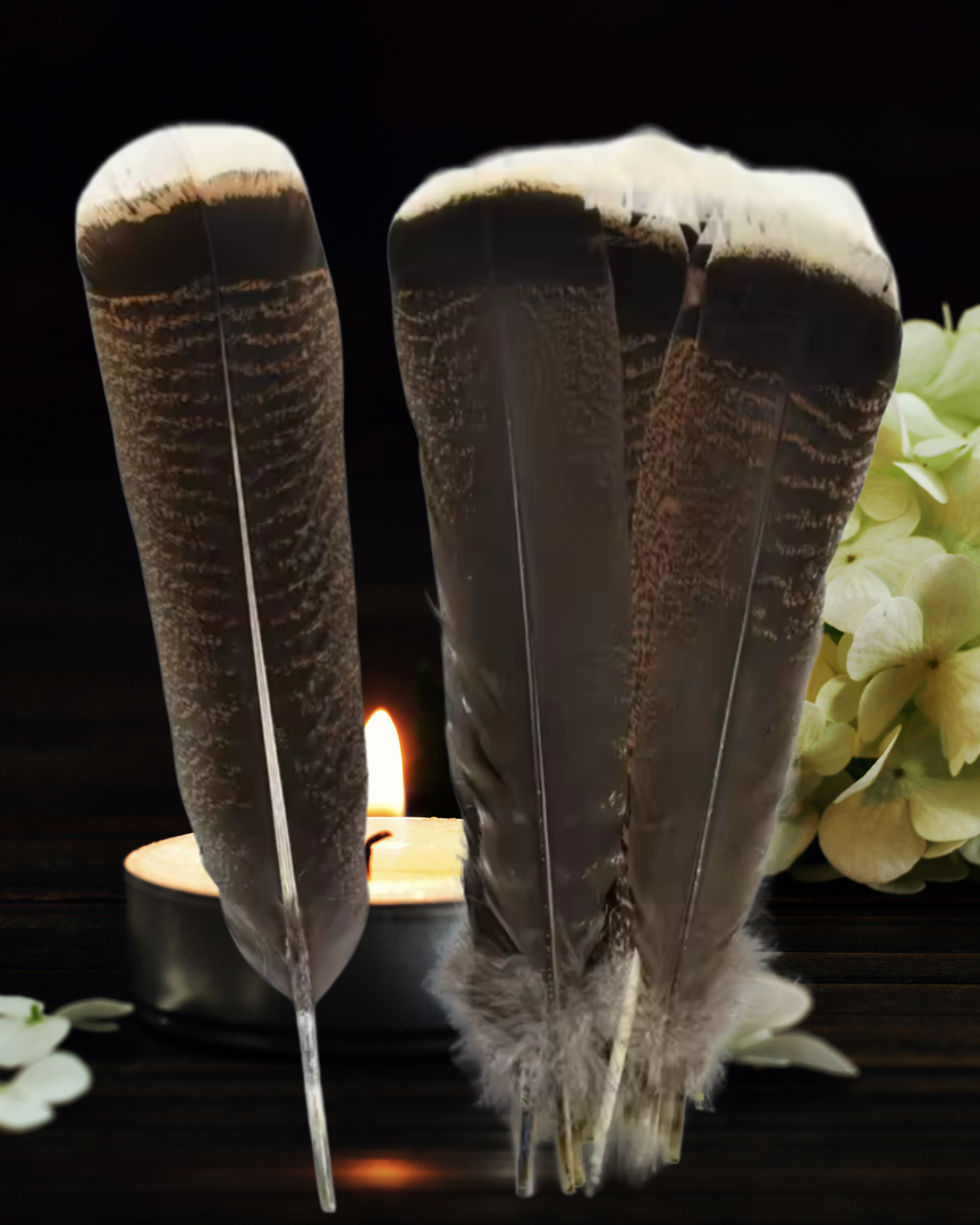 Natural Turkey Feathers for Ritual &amp; Smoke Cleansing | 10–12&quot; Spiritual Tools