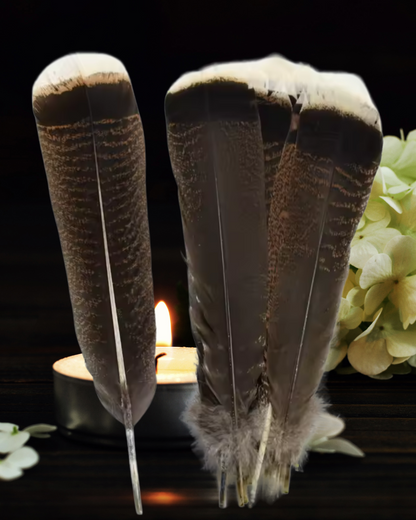 Natural Turkey Feathers for Ritual &amp; Smoke Cleansing | 10–12&quot; Spiritual Tools