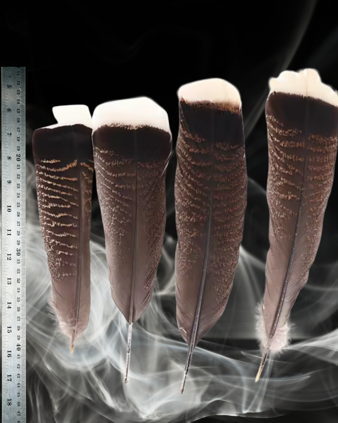 Natural Turkey Feathers for Ritual &amp; Smoke Cleansing | 10–12&quot; Spiritual Tools