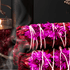Amour Sage Stick - Haus Of Alchemy
