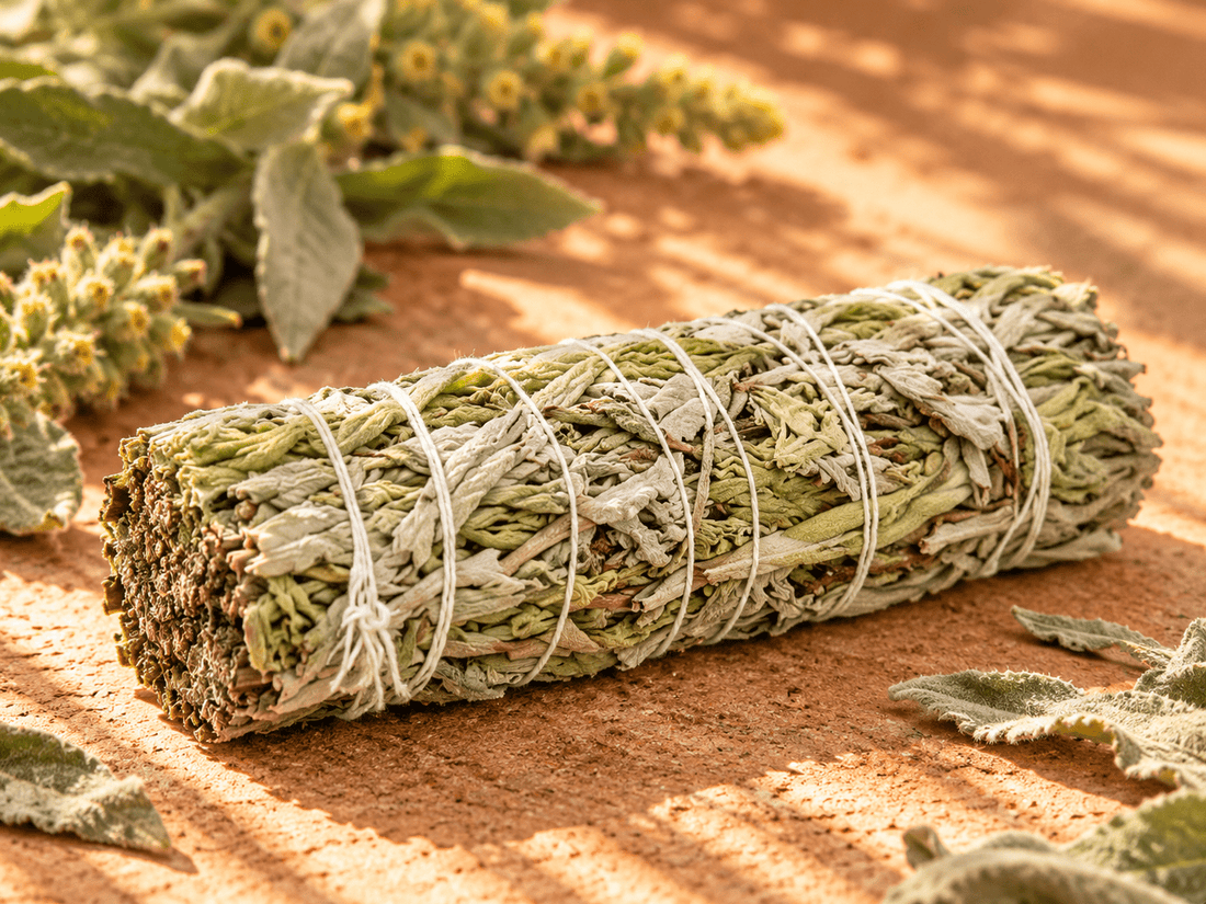 Mullein Green Sage Stick - Haus Of Alchemy