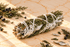 White Sage + Juniper Sage Stick - Haus Of Alchemy